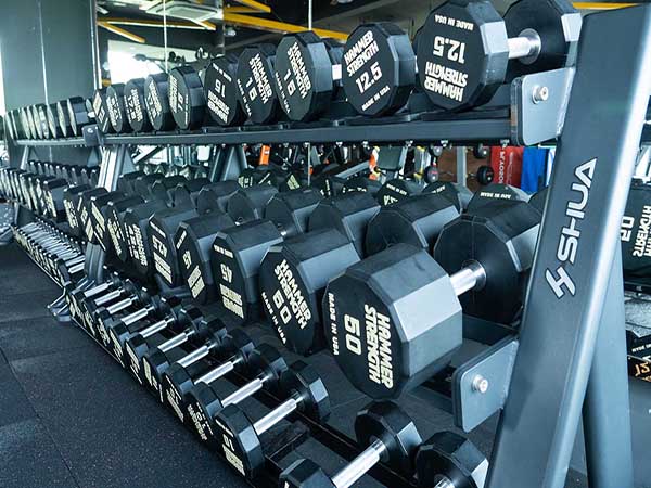 Large Free Weight Center