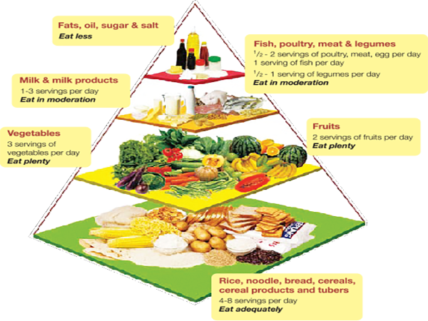 Nutrition Service